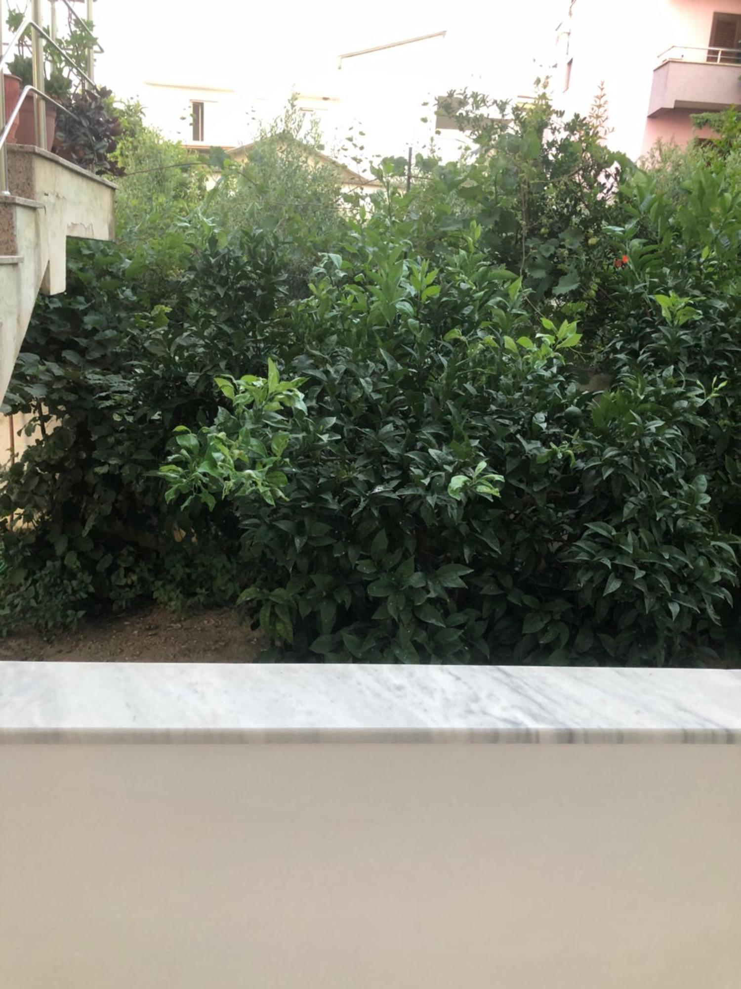 For Rent * Durrës
